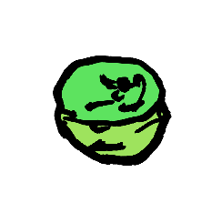 Miso Paste